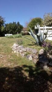 Maisons de vacances Maison spacieuse a Vic-Fezensac avec jardin : photos des chambres