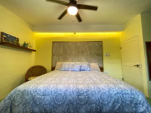 casa don chiquilin El Cedral Cozumel