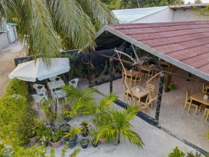 Turtle Maldives - Your Gateway to the Beach & Marine Adventures Await!