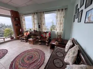 Fiddlehead Fern - Banikhet