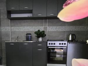 Revolution Star Apartman