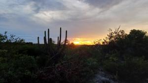 ORLANDO CITY PARK área de camping