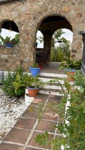 CASA RURAL-FINCA LA ALMARCHADA. MIJAS