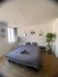 Appartements Capstay Point central ch3 - Netflix : photos des chambres