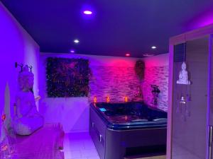 Appart'hotels le cocon de gepetto spa privatif : photos des chambres
