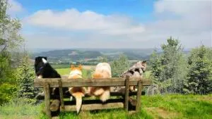 Ferienwohnungen Dorfliebe Dörnberg WALDBLICK - Ramsbeck