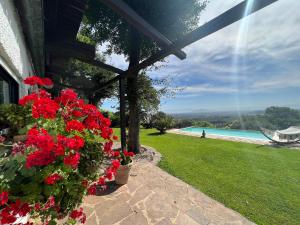Infinity pool near Rome