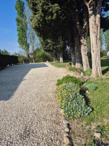 B&B / Chambres d'hotes Mas Clement - Chambre et table d'hotes : photos des chambres