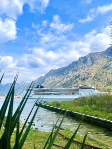 Apartment Studio Z&M