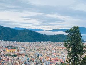 Swoyambhu View Homestay