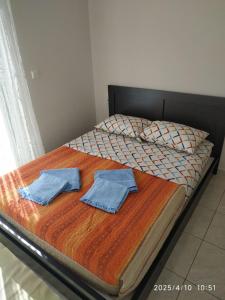 vasiliannas apartment
