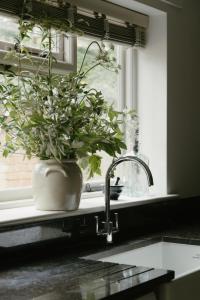 The Secret Hideaway Central Village