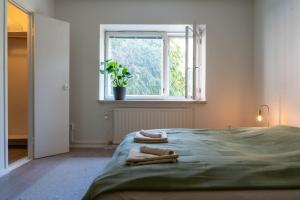 Bright, lush and comfortable apartment in Kallio