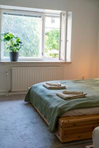 Bright, lush and comfortable apartment in Kallio