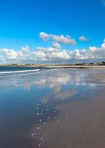 Gite de Kervao, Camélias, proche mer (800 mètres), meublé tourisme 3 étoiles - Portsall