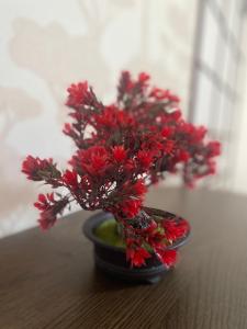 Capstay Point central ch3 - Netflix