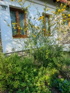 Hanga Vendégház - Aszófő