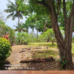 Monkeys Island Hostel