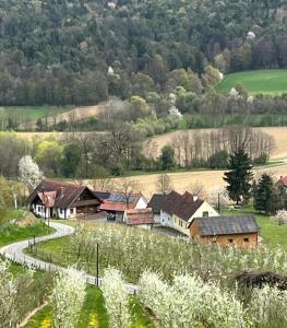 Gästehaus - Camping- Weinhof Radl