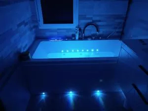 Maison 6-8 personnes à 12km du Puy du Fou - La Gaubretière