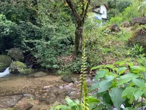 A family house in the woods of Atlantic forest - 卡舒埃拉斯迪马卡库