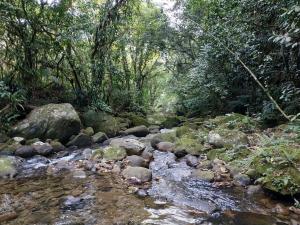 A family house in the woods of Atlantic forest