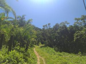 A family house in the woods of Atlantic forest