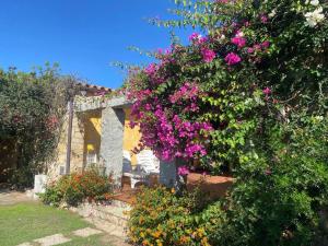 Villa Fedes Sant Elmo img27