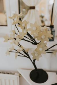 Republicii Rustic Apartament in Brașov City Center