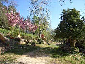 Studio aux Eyzies au coeur de la vallée de lhomme