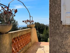 Appartements Grand Duplex - Terrasse Vue Mer : photos des chambres