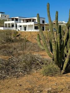 2 Casas and Pool- Walk to Beach, Great for Groups