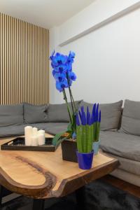 Eclipse Business Center