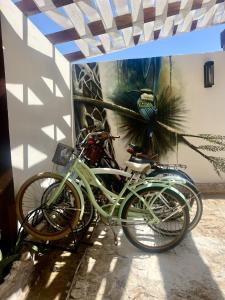 Haas Naj Suites Bananas