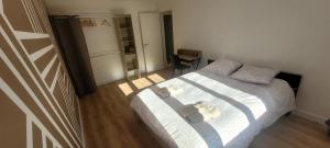 Appartements Appartement Hyper-Centre 3 Chambres 3 Salles de Bain Parking : photos des chambres