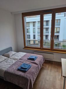 Apartament Wilanowska