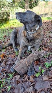 Orange Olives - Quinta Chao de Galizes