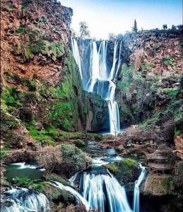 Welcome Hôtel Dijon