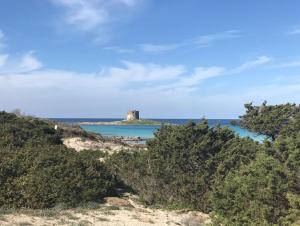 Appartamento Scoglio Lungo img14