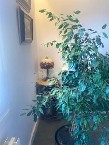 Tu escapada perfecta en Logroño