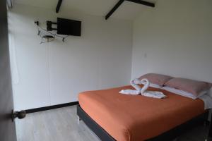 CABAÑAS GLAMPING SALEKA paipa