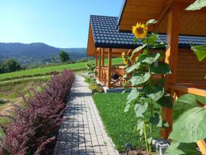 Domki na Górce w Bukowcu nad Soliną