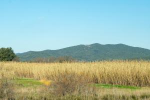Hotels Hotel de la Mer : photos des chambres