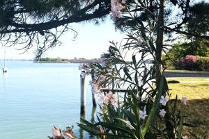Lagoon view terrace apartment