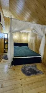 Green Chalet with Shampagne and Butterflies - Ciocanu