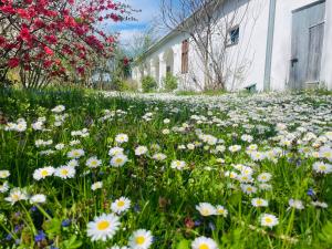 Charmantes Arkadenhaus mit großem Garten