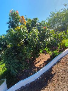 Chácara aconchegante, próximo Águas de Santa Bárbara