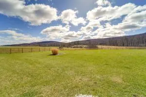 Mtn-View Studio 18 Mi to Penn State! - Lock Haven