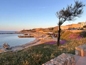 Appartamento Scoglio Lungo img16