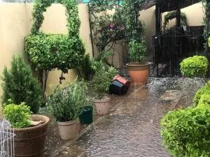 Z4z Group - Broadhurst